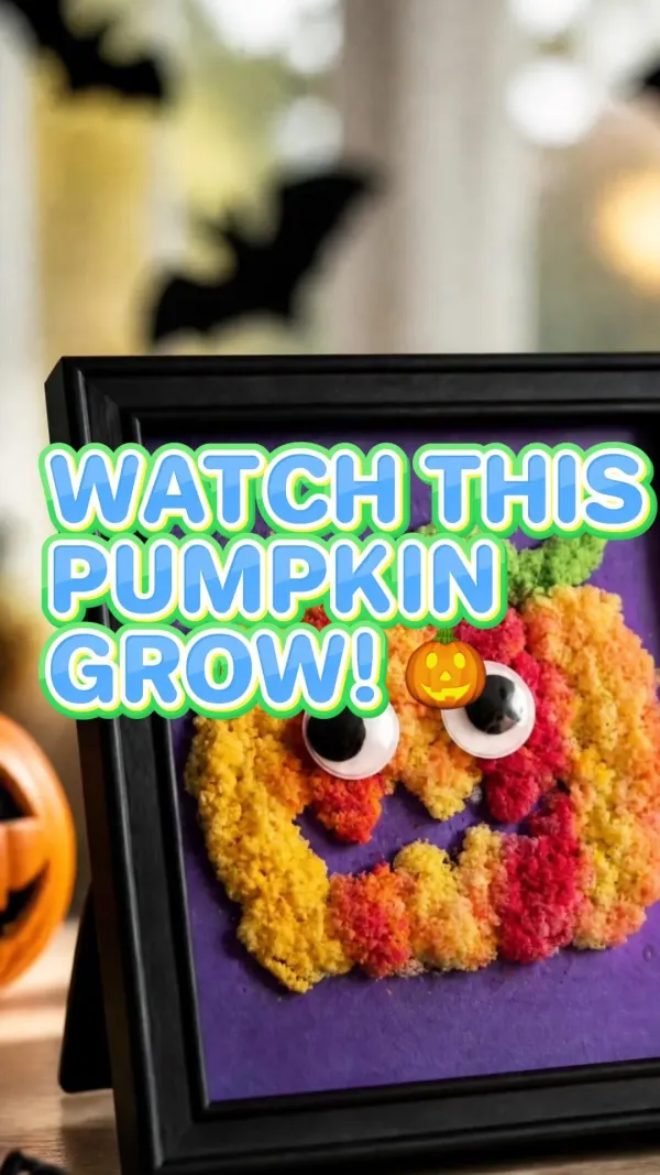 Thumbnail for the This Pumpkin Is Getting Chubby! creative art video